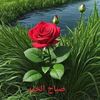 user4844237447555