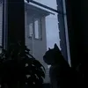 sashkarr_5