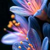 sushan.dhiyali