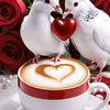 saynab.mohamed53