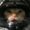 nkks_clydz