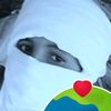 user22585332526717