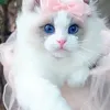 isabellabella2099