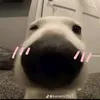 chocopai1004