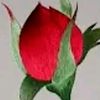 m.s.khan182
