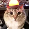 vkinrog_