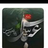 syed.zadii325