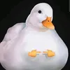 dodek907