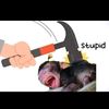 jhfftvvcffbjjjhccv