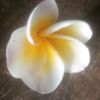 minhtet.paing844