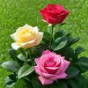user050162315