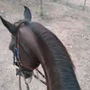 luiz.inacio581