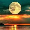 moonliight116