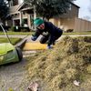 Lawn Green