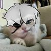 cattss_12