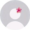 alaa5875555