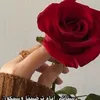 user4190196718129