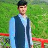 aftab.alikayani