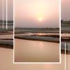 anam.qureshi6