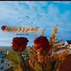 nadia.ahmad04