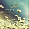 aboamran2000