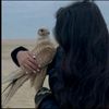 bosy_hesham37