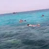 hassantoursafari