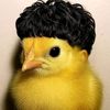 juan_prfm