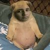jinjitos_