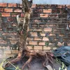 quang.tran0754