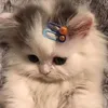 namlun_251