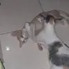 lily.quiliem