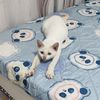 parel_127909