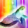 夢藤なんのすけ
