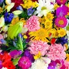 user2083050748150