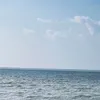 rafaellavllis