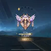 saygexj7