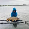 eliahbesterangler