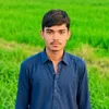 muhammadibrheembosan