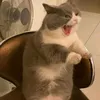 donisayget