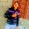 lazh246