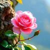 khin.win746