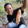 pohan.siappudan.p
