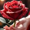 user866923101928