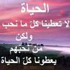 user26156159052381