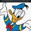 donalddackkoykou