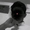 why_aryan_82