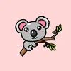 mycozykoala