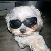 lilmonkey3892