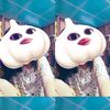 model.chonnichada2